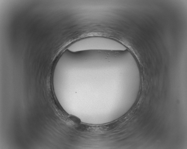 X0000062620297200601041012