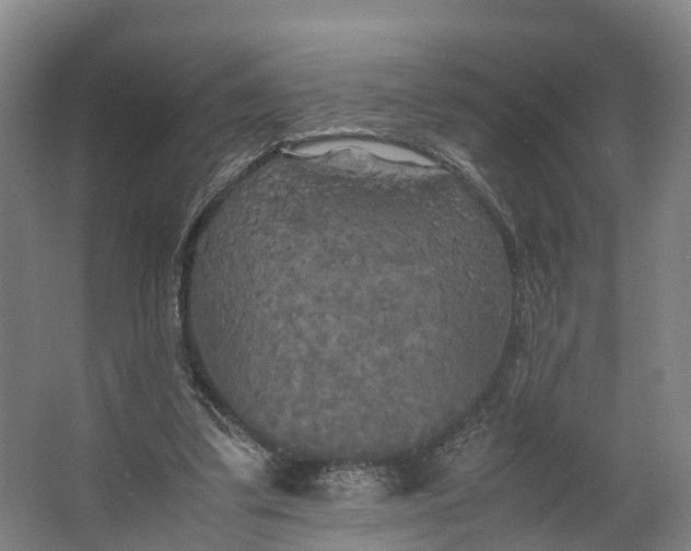 X0000062620299200601041012