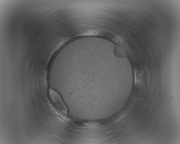 X0000062620300200601041012