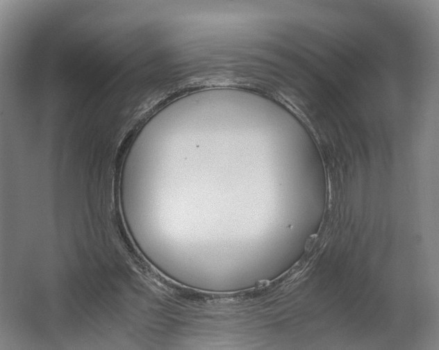 X0000062620301200601041012