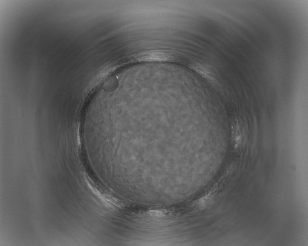 X0000062620302200601041012