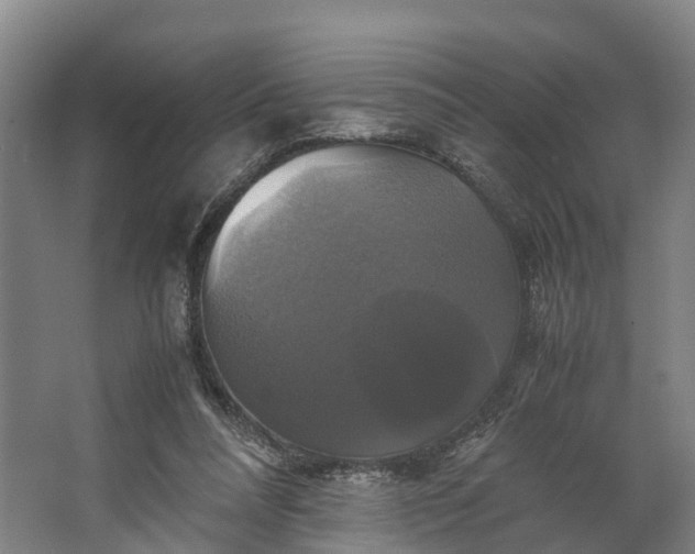 X0000062620304200601041012