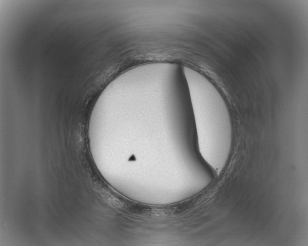 X0000062620305200601041012