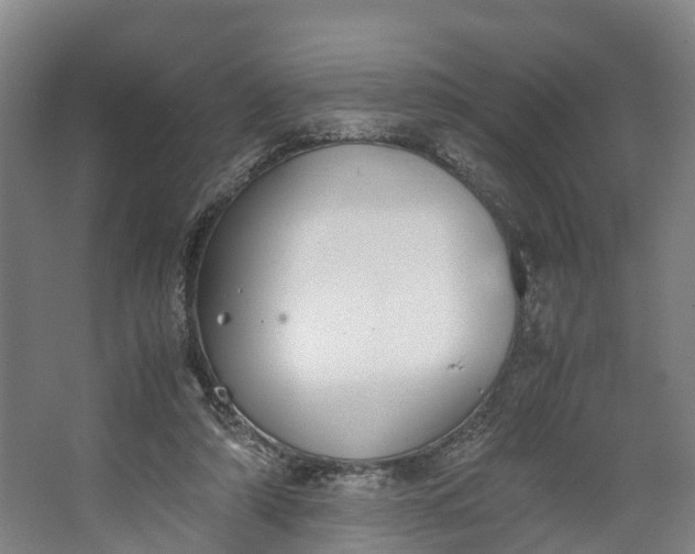 X0000062620306200601041012