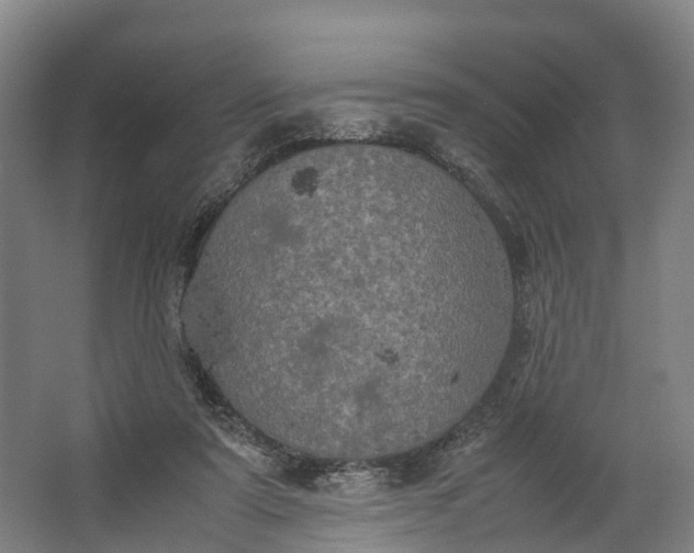 X0000062620307200601041012