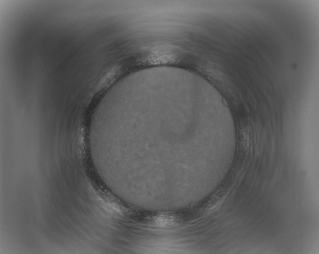 X0000062620308200601041012