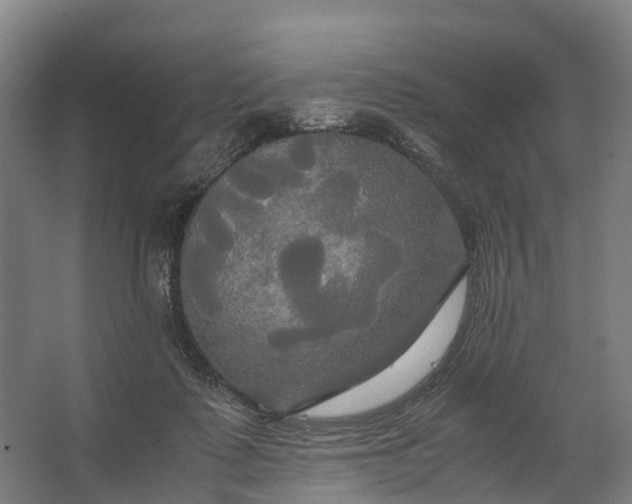 X0000062620315200601041012