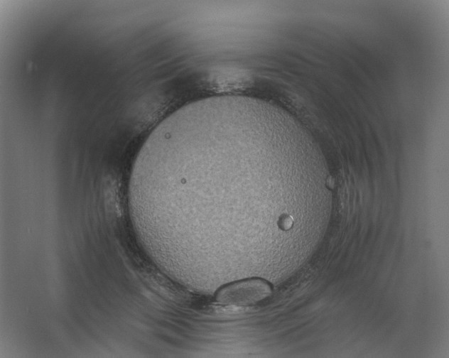 X0000062620316200601041012