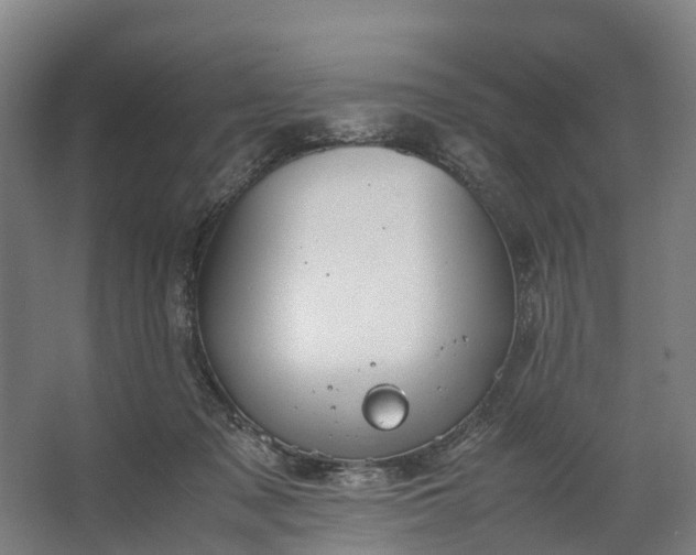 X0000062620317200601041012