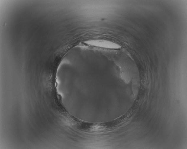 X0000062620319200601041012