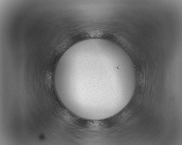 X0000062620321200601041012