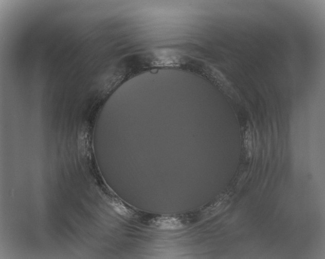 X0000062620322200601041012