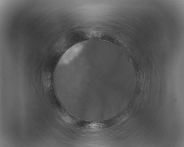 X0000062620323200601041012