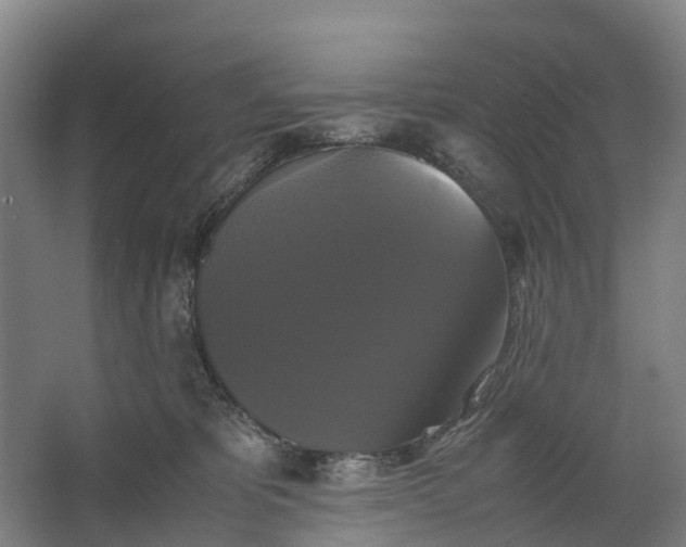 X0000062620325200601041012