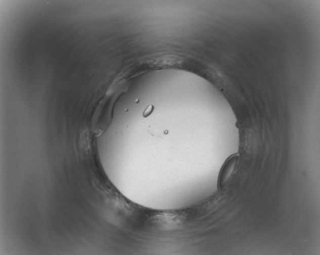 X0000062620326200601041012