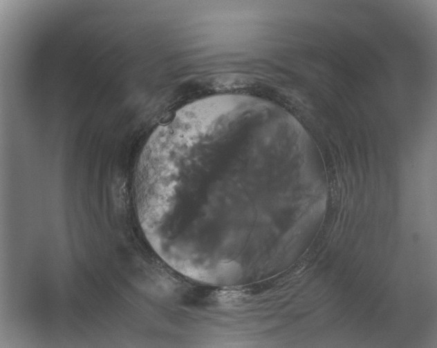 X0000062620327200601041012