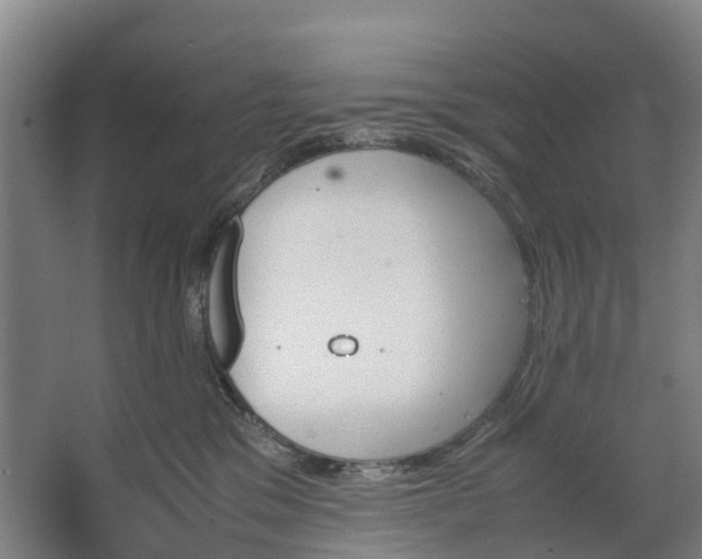 X0000062620329200601041012