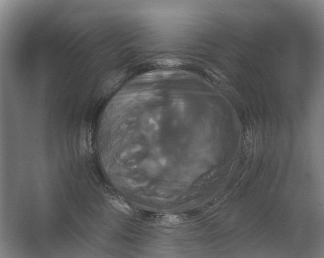 X0000062620330200601041012