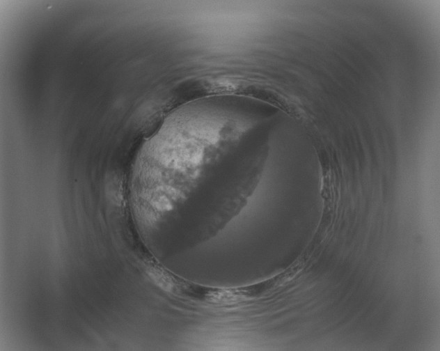 X0000062620331200601041012