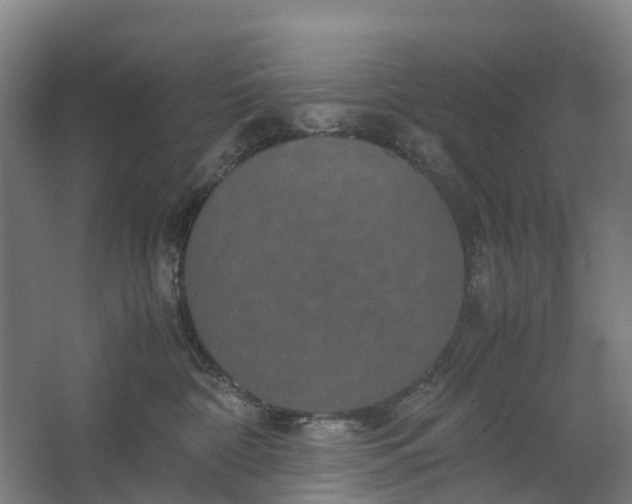 X0000062620332200601041012