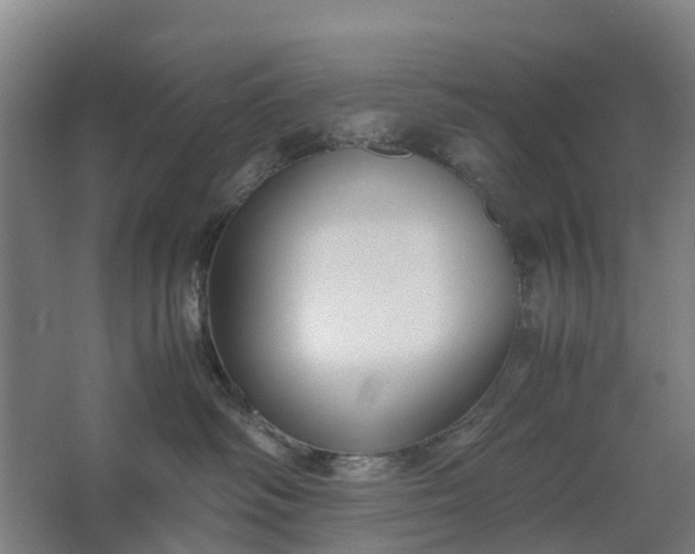 X0000062620334200601041011