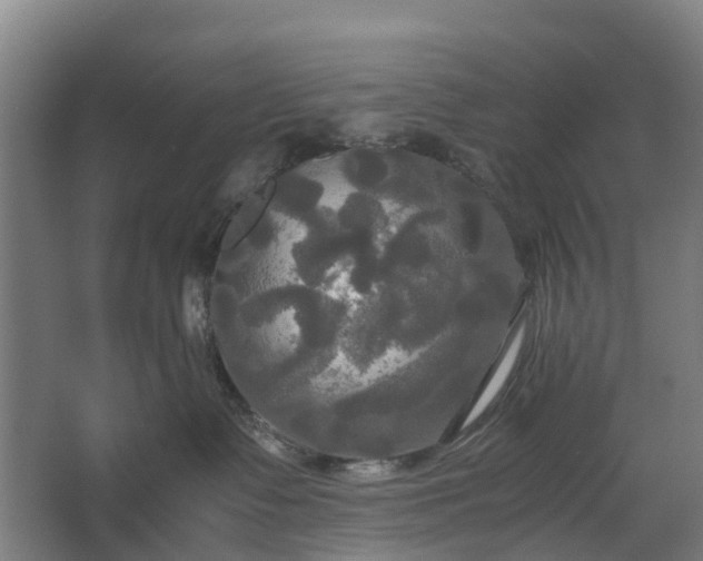 X0000062620335200601041011