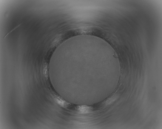 X0000062620336200601041011