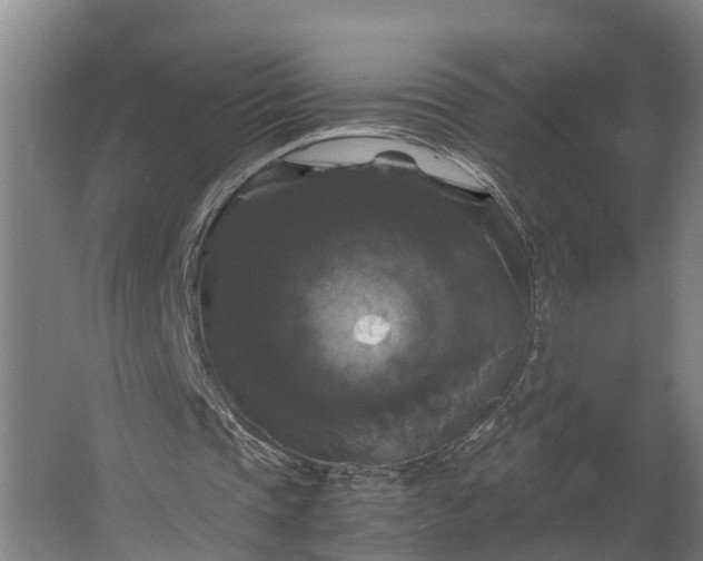 X0000062620337200601041011