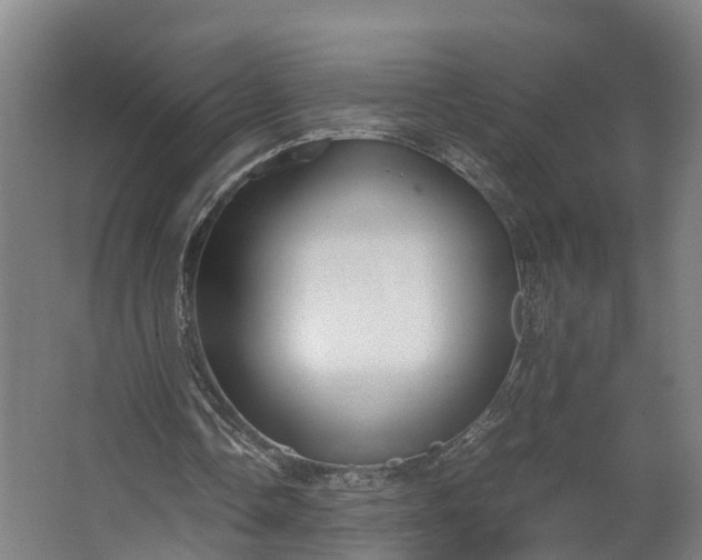 X0000062620338200601041011