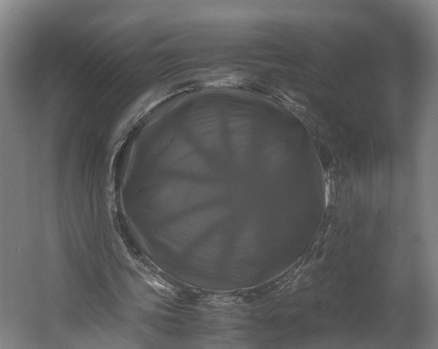 X0000062620339200601041011