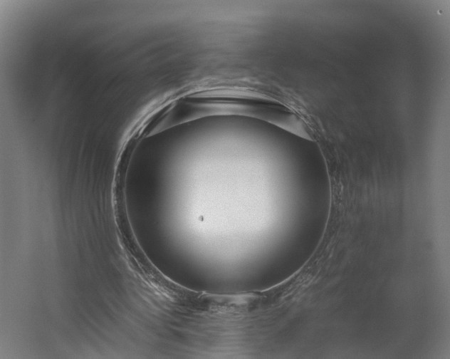 X0000062620340200601041011