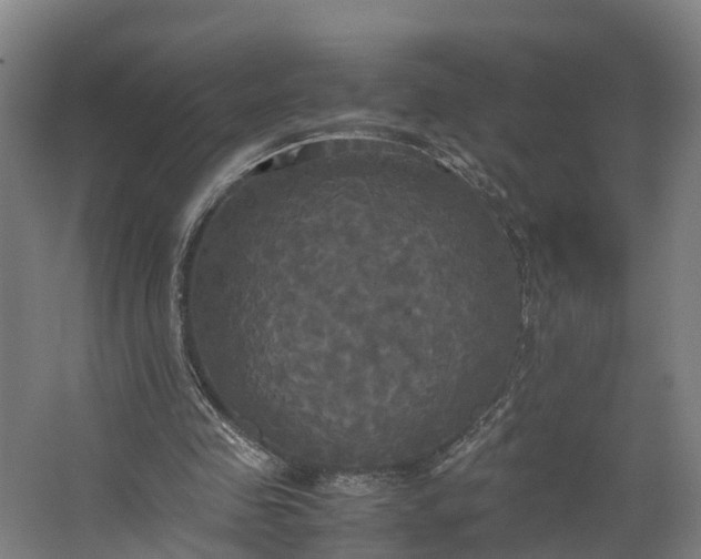 X0000062620341200601041011