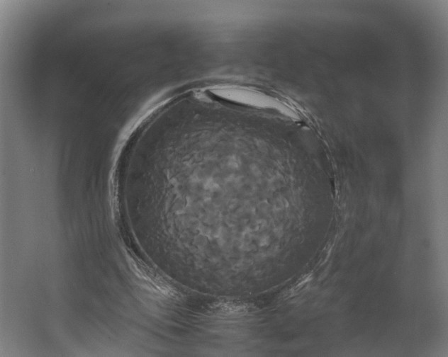 X0000062620343200601041011