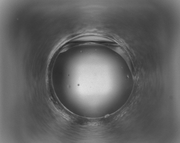 X0000062620344200601041011