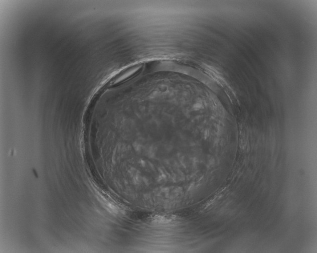 X0000062620346200601041011