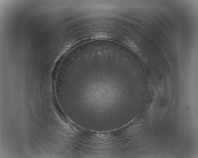 X0000062620347200601041011