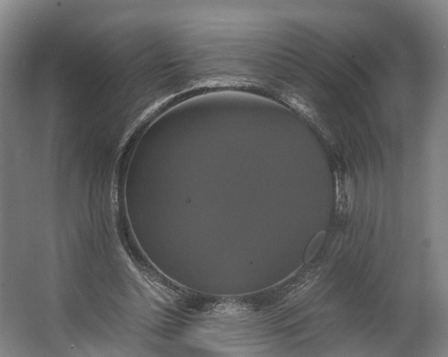 X0000062620348200601041011