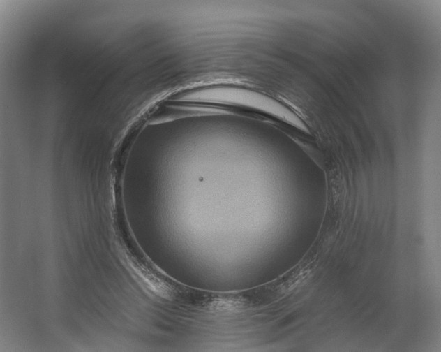 X0000062620350200601041011