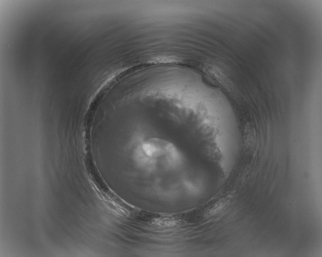 X0000062620351200601041011