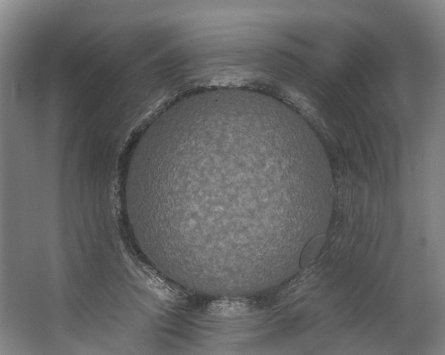 X0000062620354200601041011