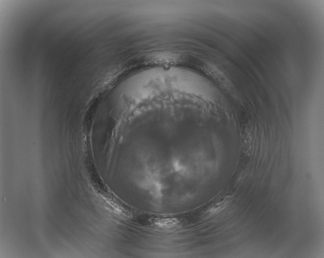 X0000062620355200601041011