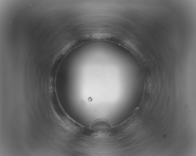 X0000062620356200601041011