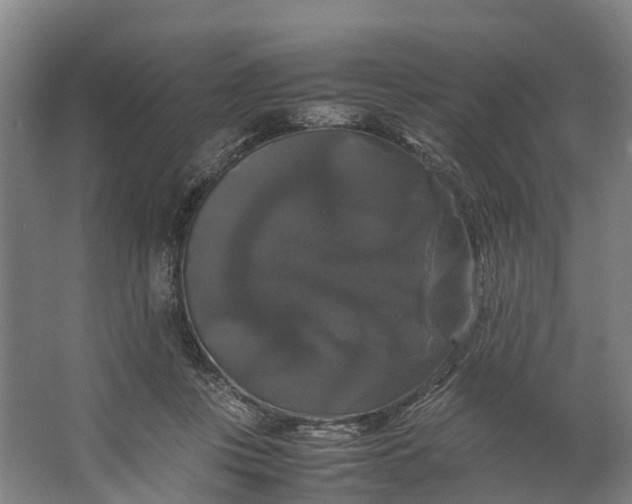 X0000062620359200601041011