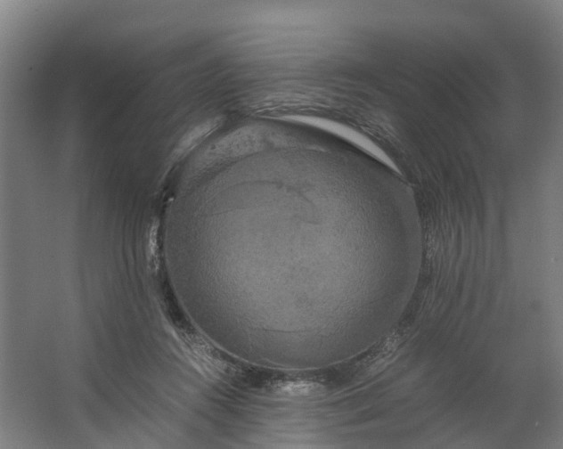 X0000062620360200601041011