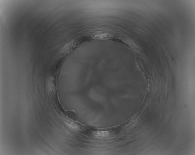 X0000062620361200601041011