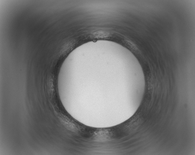 X0000062620362200601041011