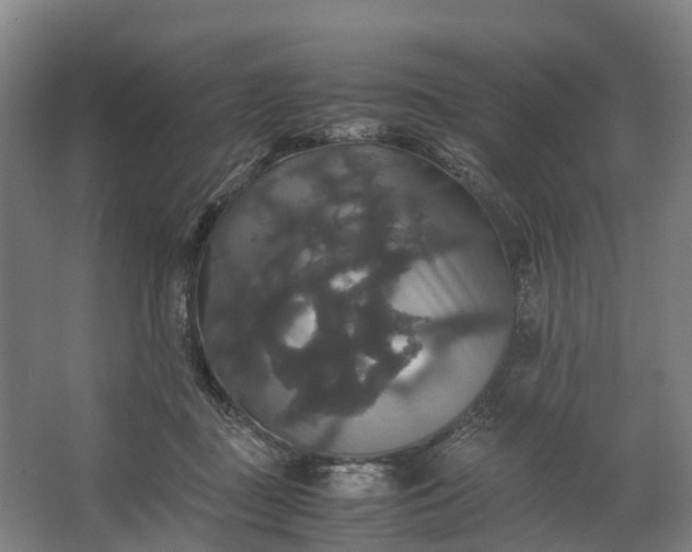 X0000062620363200601041011