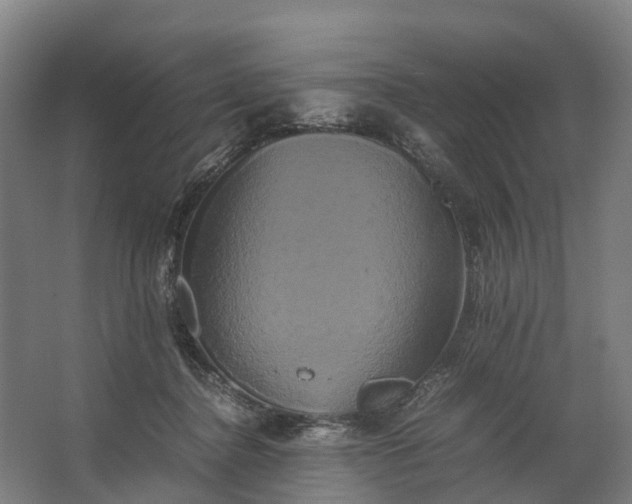 X0000062620364200601041011