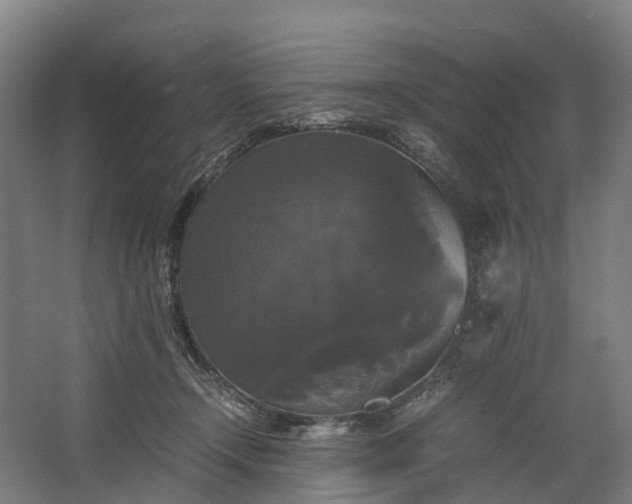 X0000062620366200601041011