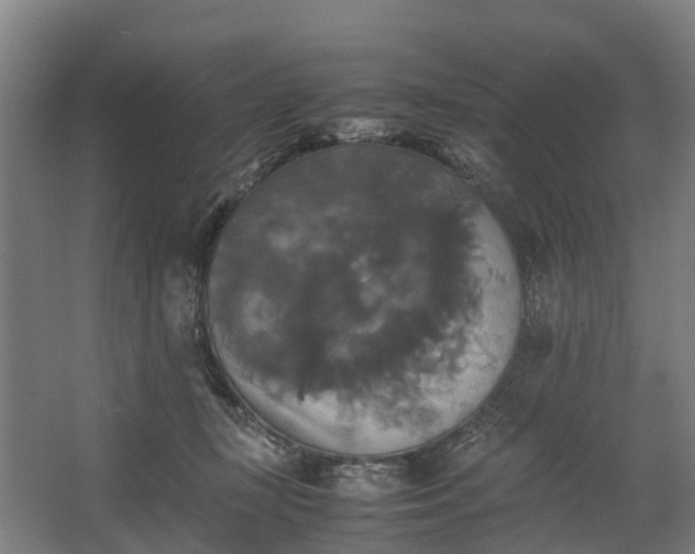 X0000062620367200601041011